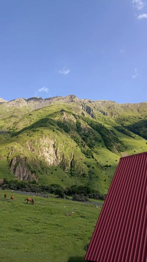 Mountain Flower Cottage Kazbegi Eksteriør bilde
