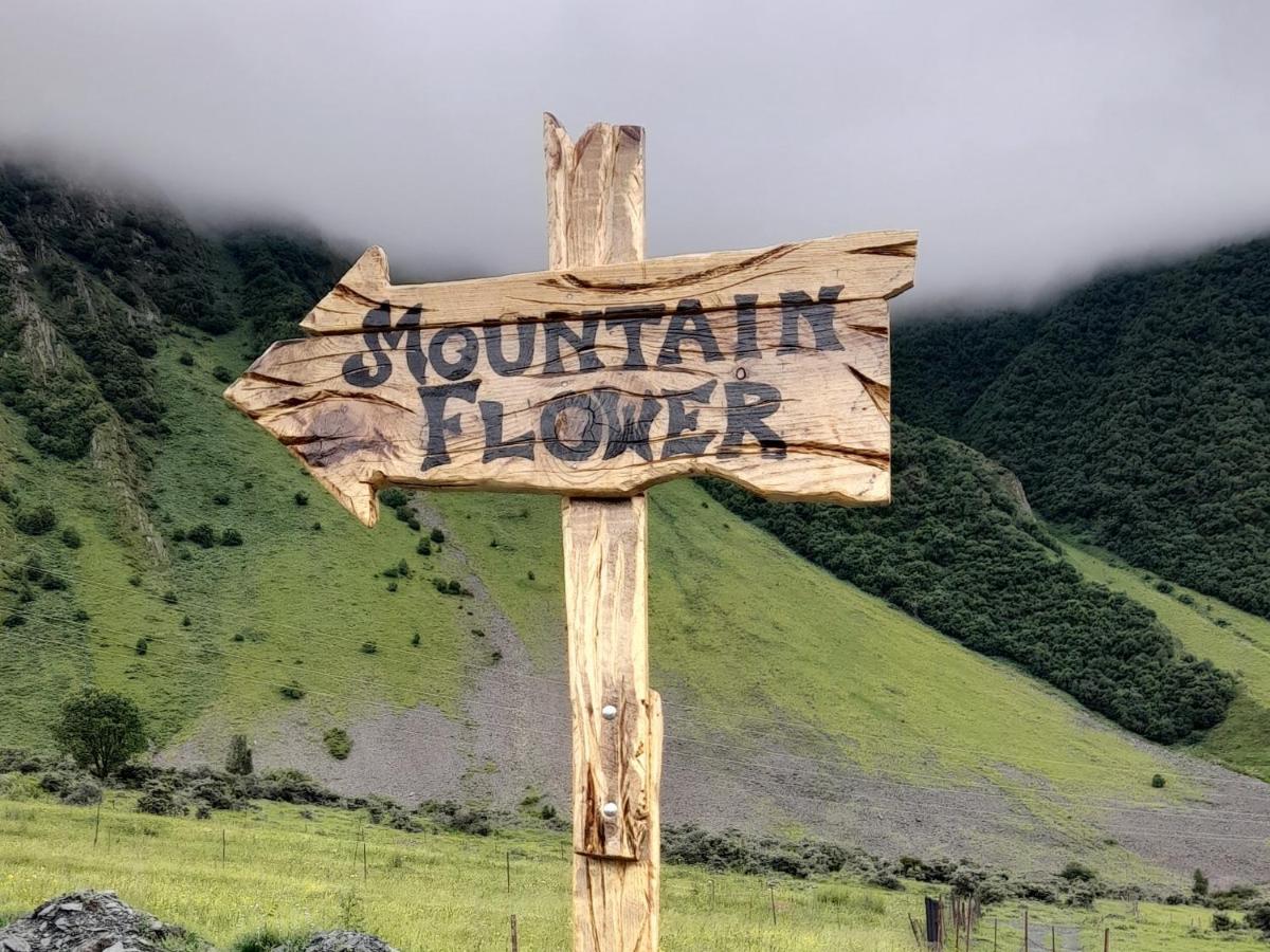 Mountain Flower Cottage Kazbegi Eksteriør bilde